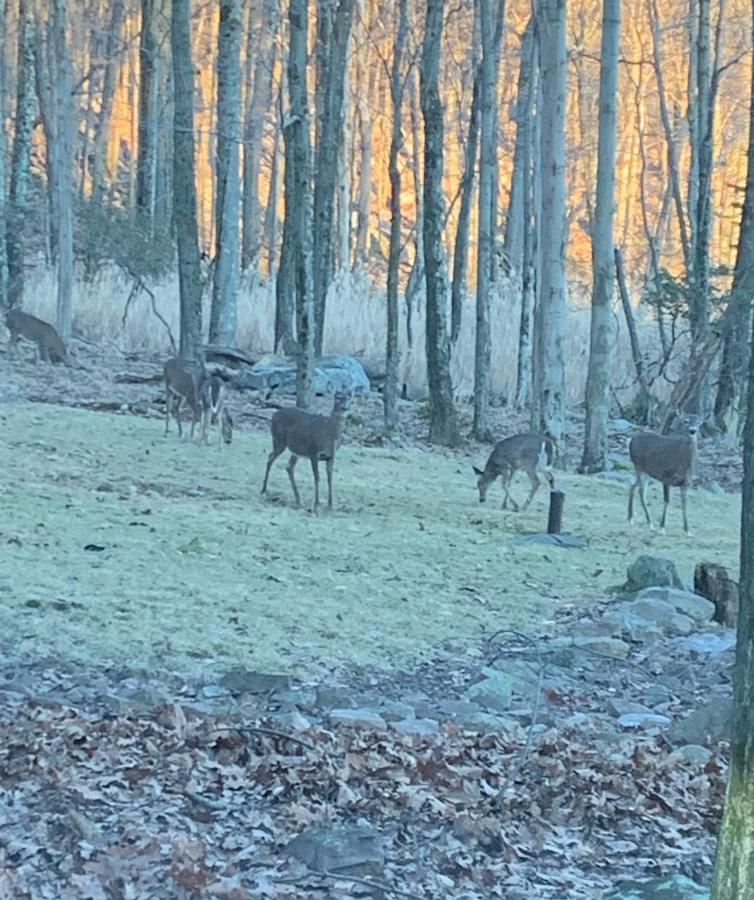 Pocono Mountain View Lake House In レイク・ハーモニー エクステリア 写真